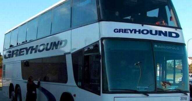 Hur mycket är en Greyhound bussbiljett från Miami till New York?