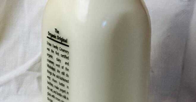 Kan du använda mjölk som ersättning för att göra vispad grädde?