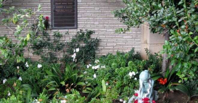 I vilka kyrkogården begravdes Michael Jackson?