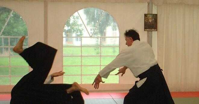 Vilken kampsport skapades från principerna i jujitsu?