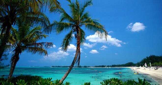 Behöver du ett pass för att åka på en kryssning till Bahamas?