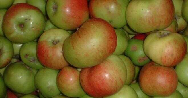 Vad händer om man äter för många äpplen?