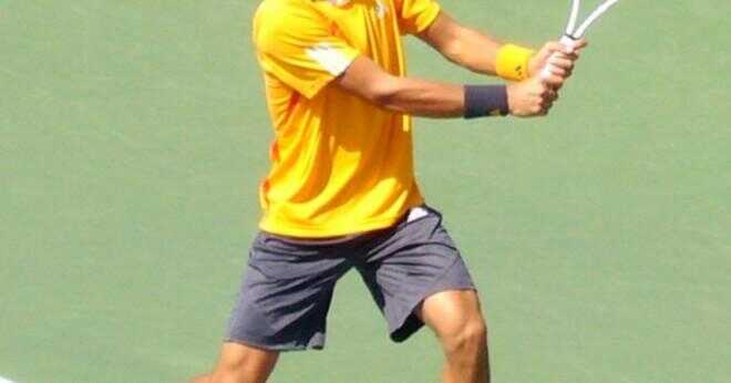 Hur många set förlorade Novak Djokovic på Wimbledon 2011?