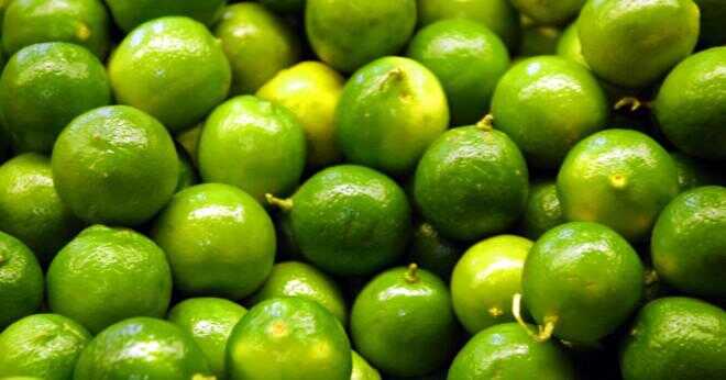 Kan en limefrukttree förvandlas till en citron?