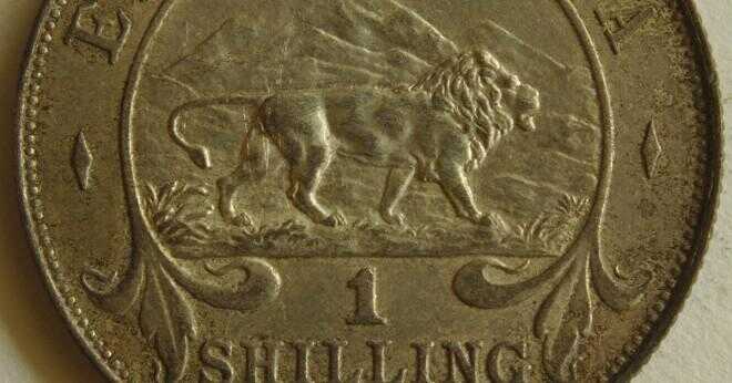 Hur mycket är ett 1976 Sydafrika mynt värt?