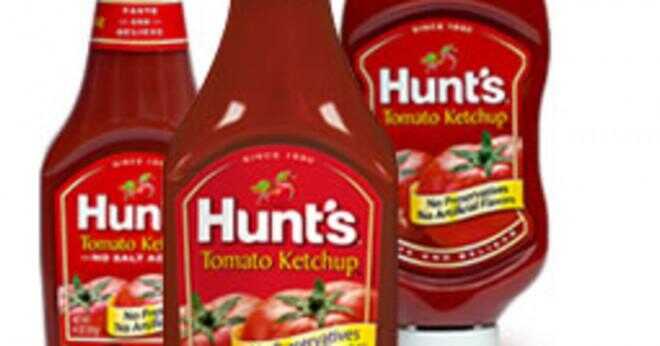 Vad är insekt beståndsdelar i ketchup?
