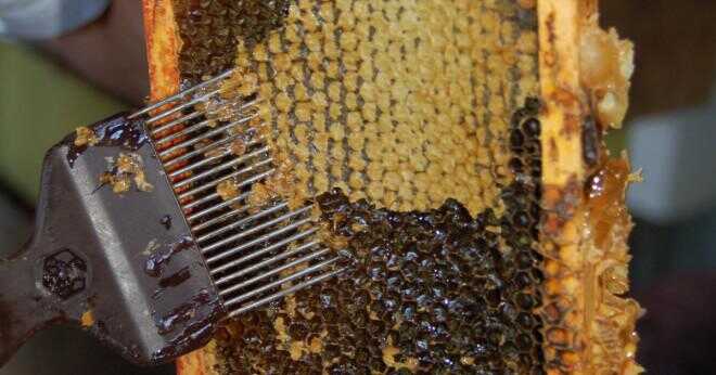 Vilka näringsämnen innehåller honung?