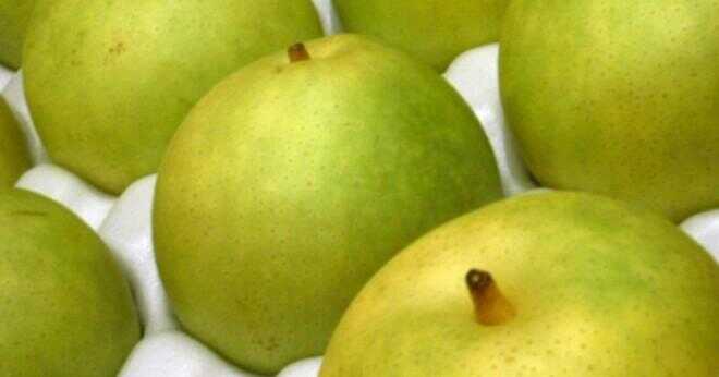 Vilka är namnen på päron?