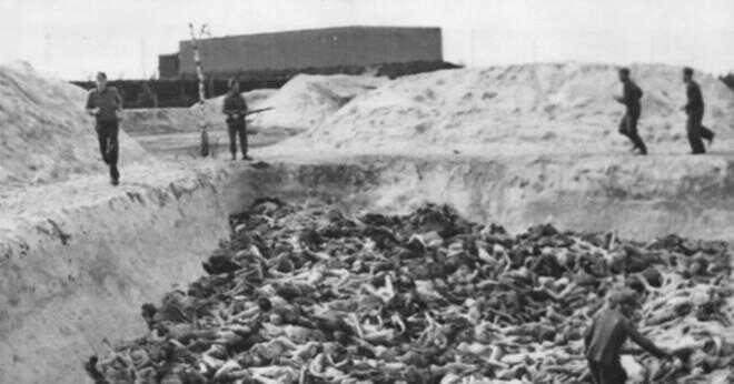 Vad betyder Dachau Auschwitz och Bergen-Belsen som alla har gemensamt?