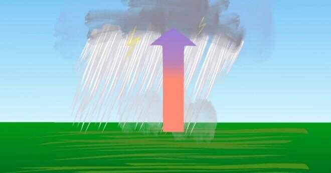 Är en nederbörd en biotiska eller en abiotisk faktor?