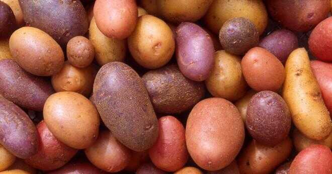 Hur mycket är Idaho Russet potatis?