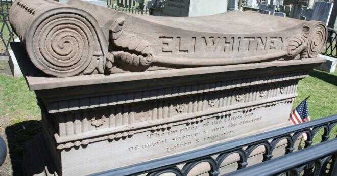 Vilka var resultaten av Eli Whitney bomull gin?