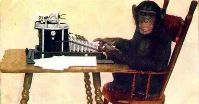 Om det tar sju apor sju dagar att äta sju bananer. Hur många dagar tar det en apa att äta en banan?