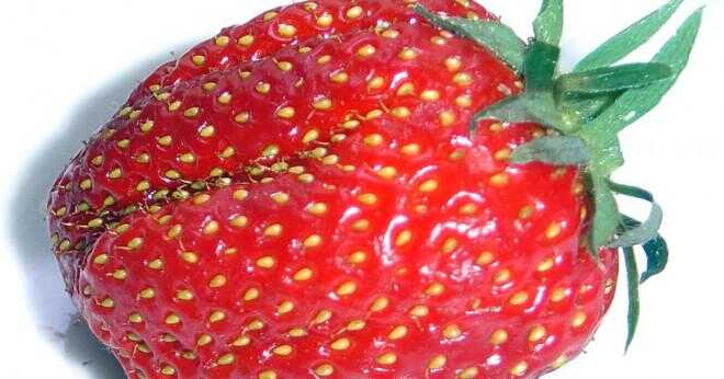 Hur ser bortskämd jordgubbar ut?