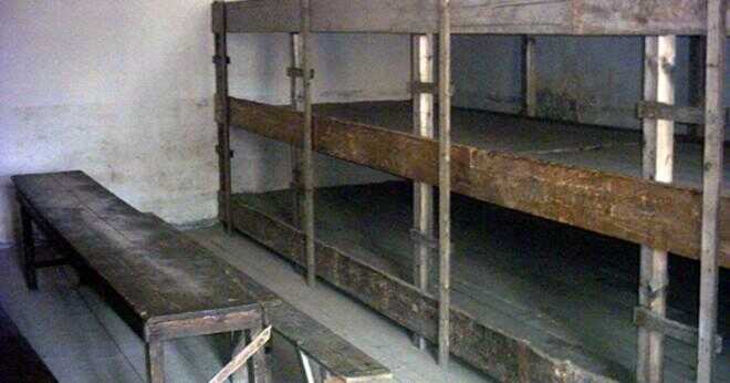 I vilken byggnad var mail sorteringsanläggning i Auschwitz?