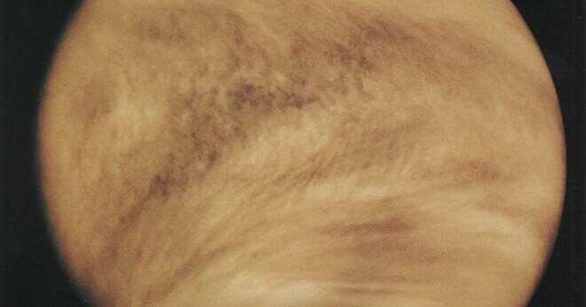 Vilken effekt har växthuseffekten på Venus yta miljön?