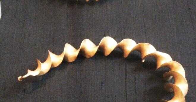 Vad kallas delen på ett halsband som fäster prydnad att halsbandet?
