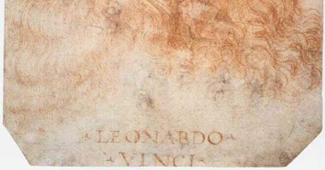 Leonardo da Vinci flyga?