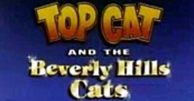 Vad är den inledande låten till Tomcats filmen?