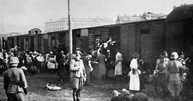 Hur länge judarna bo i koncentrationslägren innan de dödades?