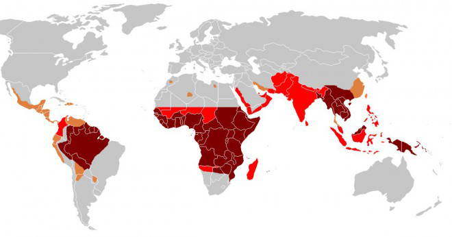 Är mosquito världens farligaste djuret?