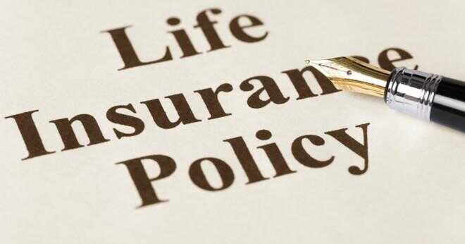 Vad är det som kännetecknen variabel livförsäkring?