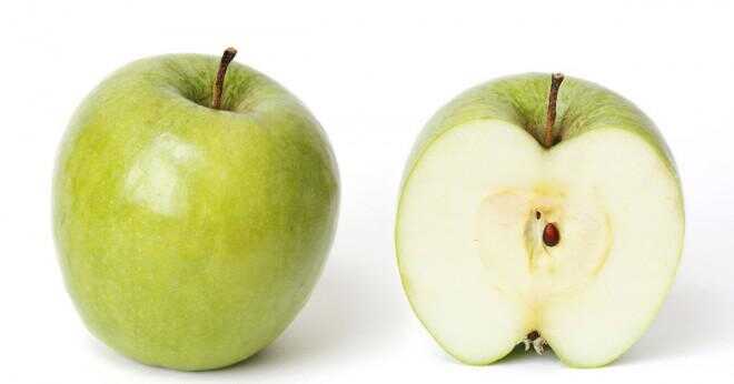Är äpplen ormbunkar?