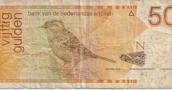 Vad är valutan i Nederländerna?