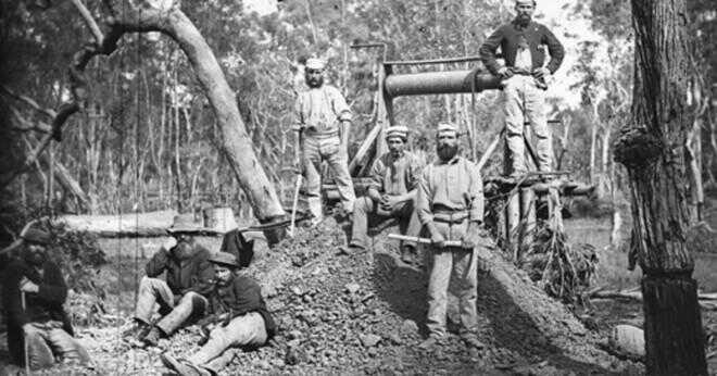 Hur många nationaliteter kom till Australian Gold Rush?