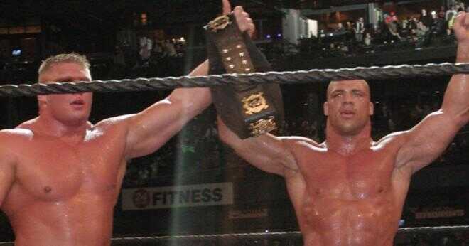 Vilket år kämpade undertaker rock för wwe titeln?