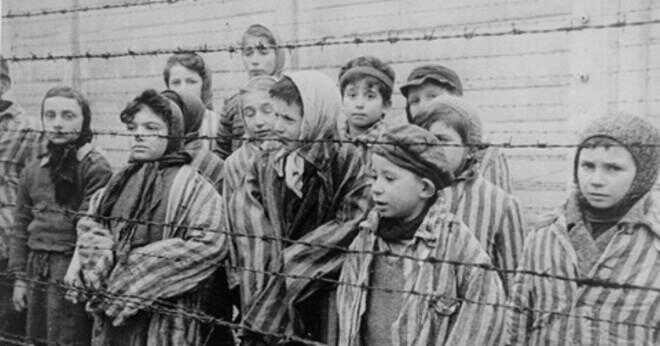 Varför hatade Adolf Hitler judarna när han var en jude?