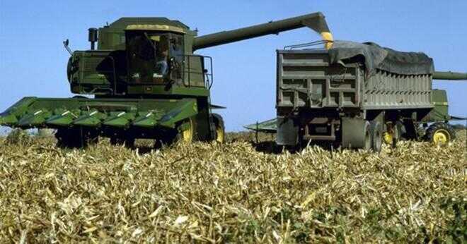 Hur mycket av en skäppa majs används för att göra etanol?