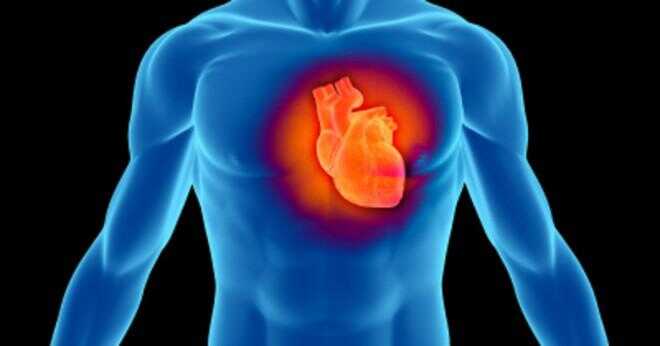 Beskriva funktioner av de fem delarna av det kardiovaskulära systemet?