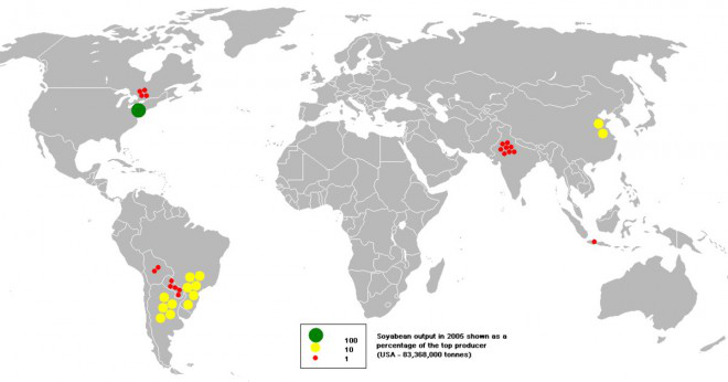 Vilka länder odla sojabönor?