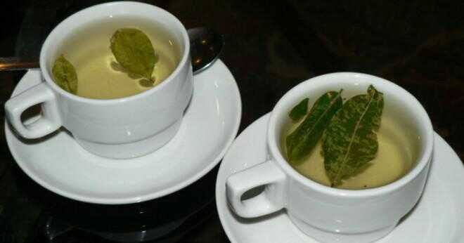 Varför vissa människor får sjuka efter att ha druckit grönt te?
