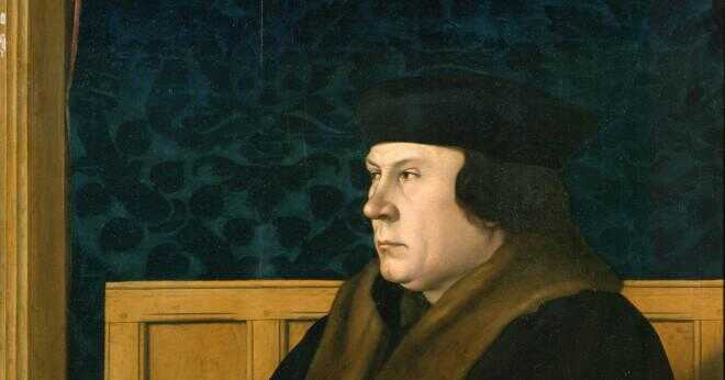 Vad var det viktigaste skälet för Henrik VIII att göra ändringar i den engelska statskyrkan?