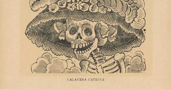 Vad var Diego Riveras Smeknamn för frida kahlo?