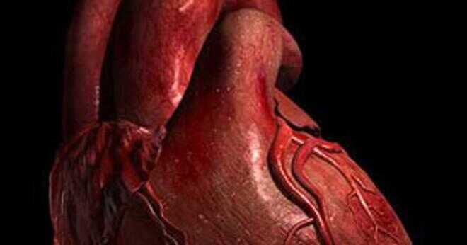 Vad är det normala flödet av blod genom hjärtat?