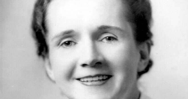 Vad Rachel Carson studera?