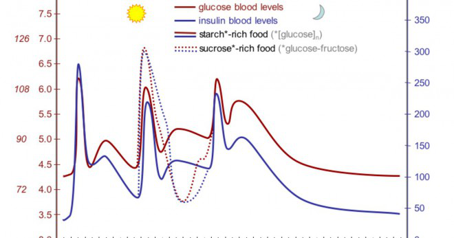 Vad reglera glukos nivån i blodet?