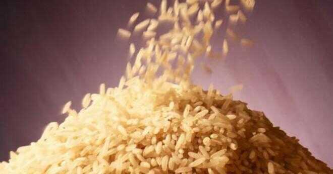 Vad är den kinesiska ekonomiska betydelsen av ris?