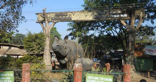 När registrerades Manas wildlife sanctuary i UNESCO heritage lista?