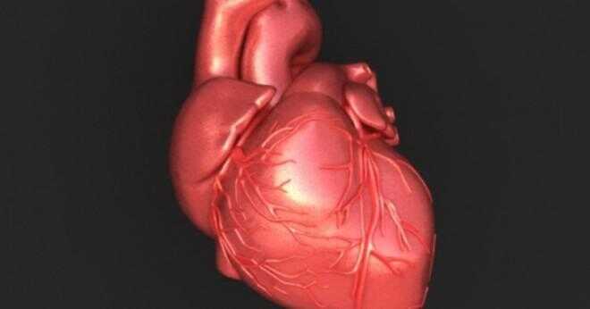 Vad är pacemakern hjärtat?