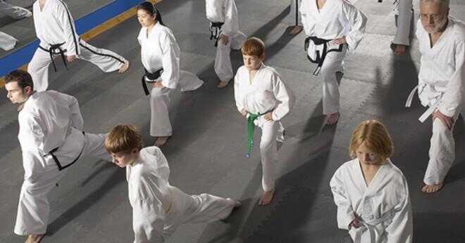 Vad undervisar karate?