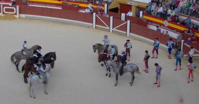 Vad kallar du procession av matadors?