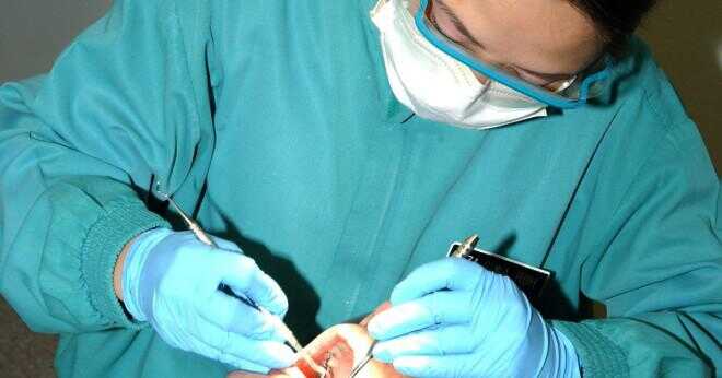 Vad är en tandvård protes stabilisator?