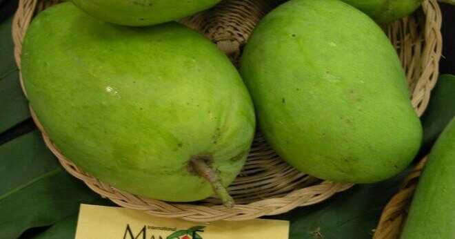 Vilka är delarna av mango utsäde?