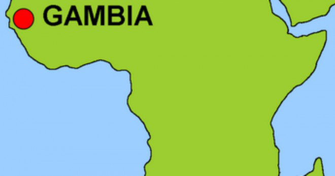 Hur många sorters apa har du i Gambia?
