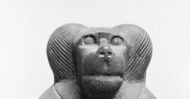 Vad är de heliga djur i Egypten?