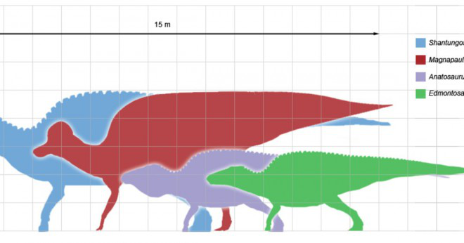 Vad hette den kortaste dinosaurie?